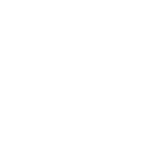 graduation icon