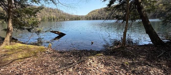 NAEP students participate in forest therapy walk at Green Lakes State Park
